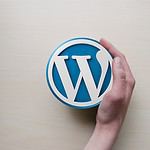 Keeping WordPress 6.6.1 up to date: How the newest features and fixes will change your website